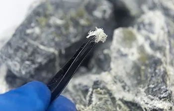Asbestos Testing and Inspection