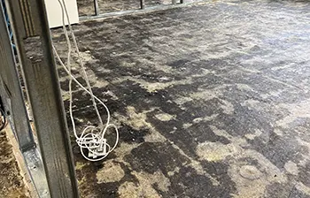 Commercial Asbestos Removal