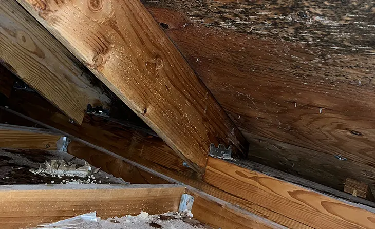 mold-inspections-and-testing
